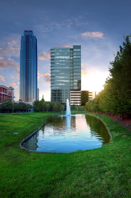View from the pond