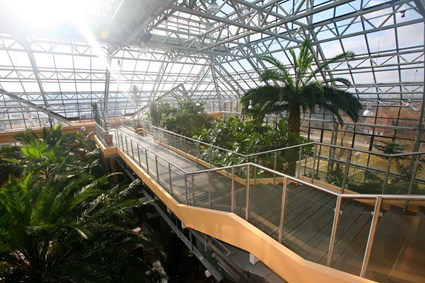 Palm House