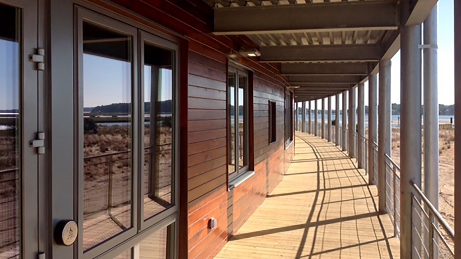 CBF Ext Walk CBF Ext Walk