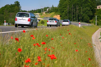 Biecz bypass