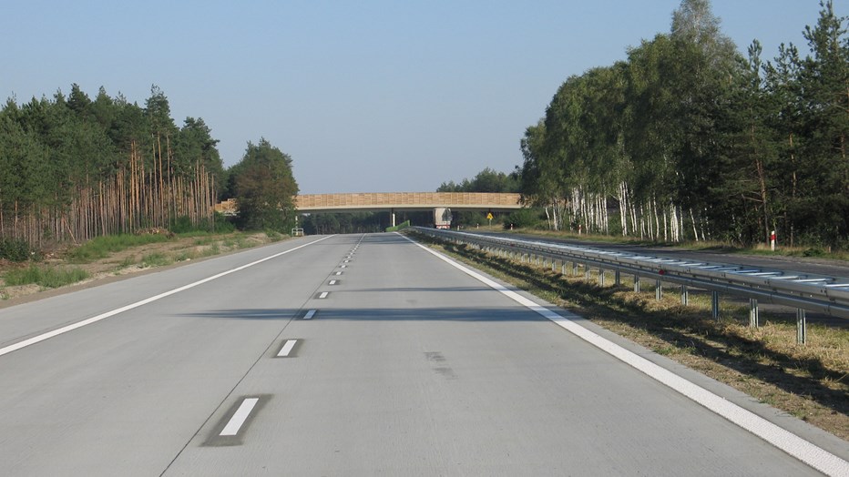 Olszyna-Golnice Olszyna-Golnice