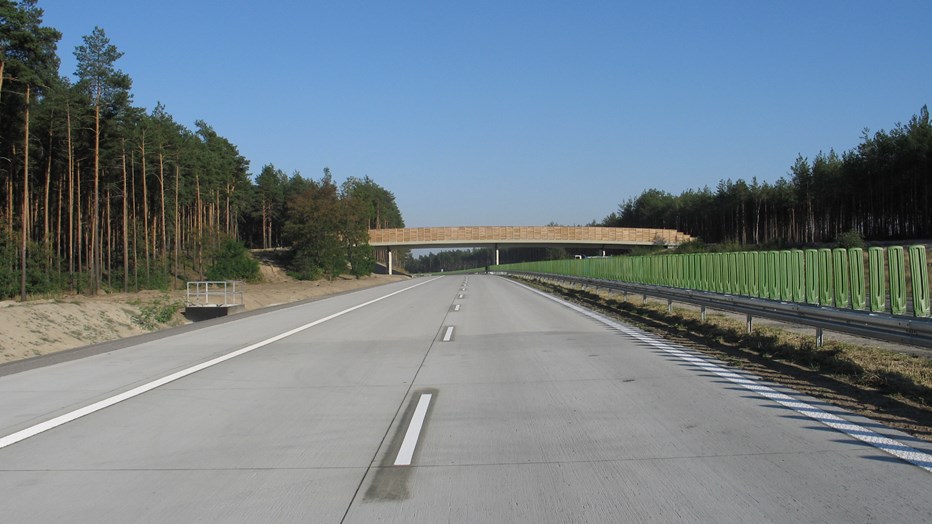 Olszyna-Golnice Olszyna-Golnice