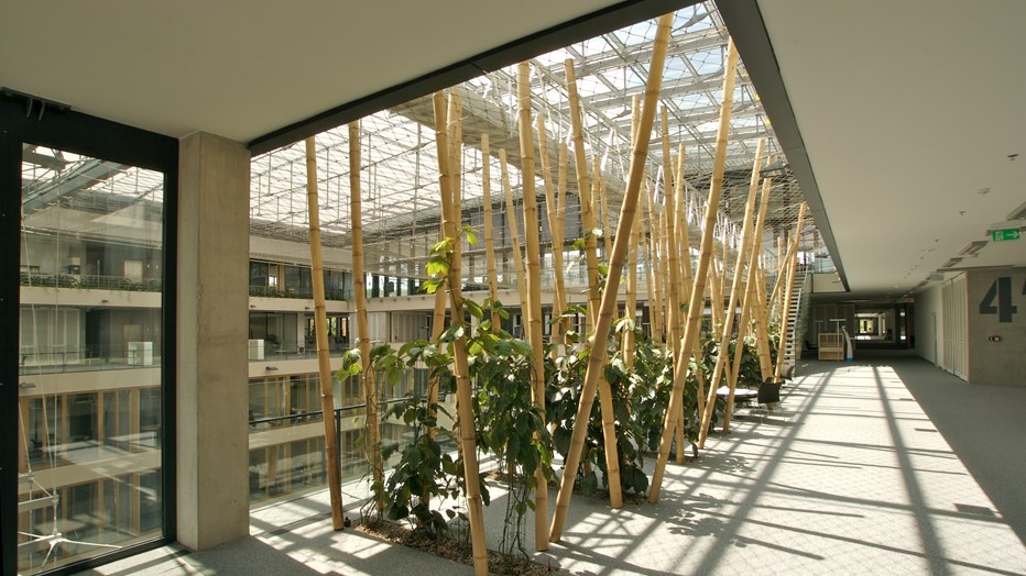 New Head Quarters of CSOB New Head Quarters of CSOB