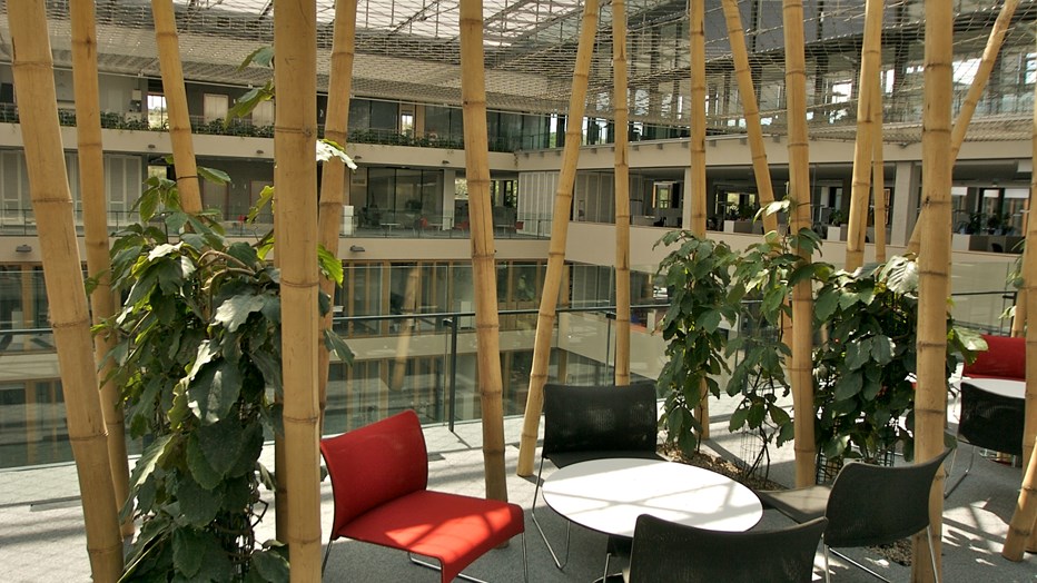 New Head Quarters of CSOB New Head Quarters of CSOB