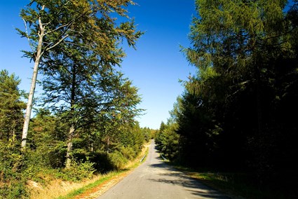 Voivodeship road No. 992