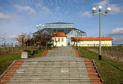 Palm House